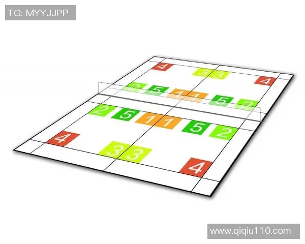 重庆羽毛球队的战术调整与成绩波动分析