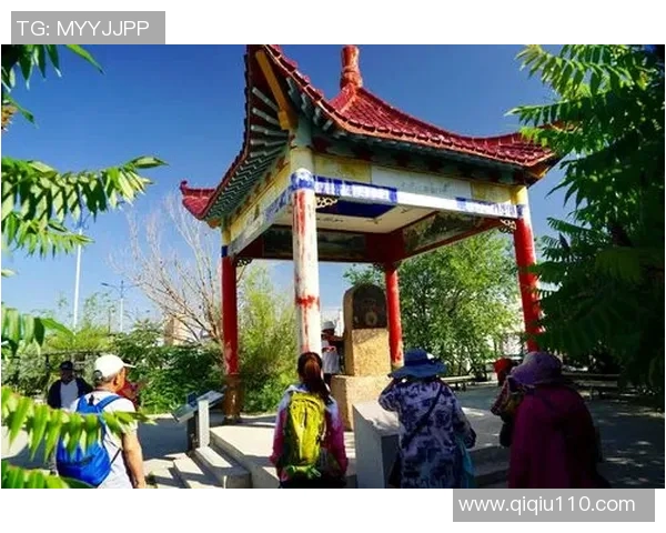 丽江飞虎与新疆精彩对决录像回放全景解析与赛后点评